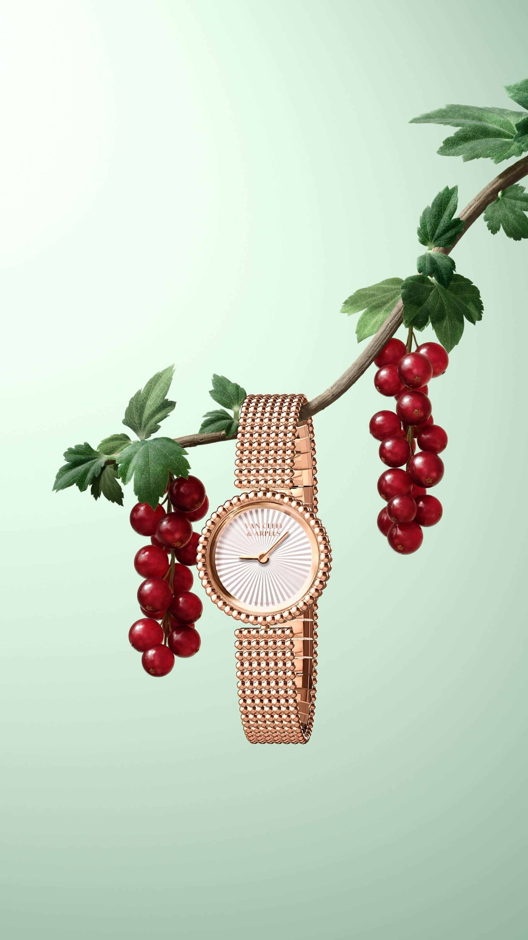 ペルレ® ウォッチ - ヴァン クリーフ&アーペル - Van Cleef & Arpels